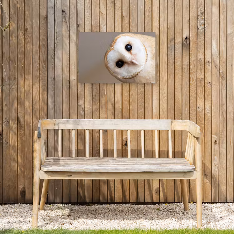 Buiten canvas - Uil - Bruin - Wit — 3