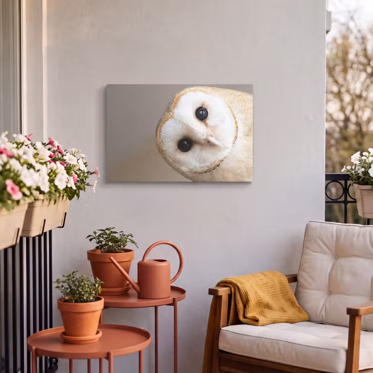 Buiten canvas - Uil - Bruin - Wit — 4