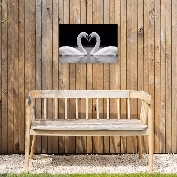 Buiten canvas - Zwanen - Hart - Zwart - Wit — 3