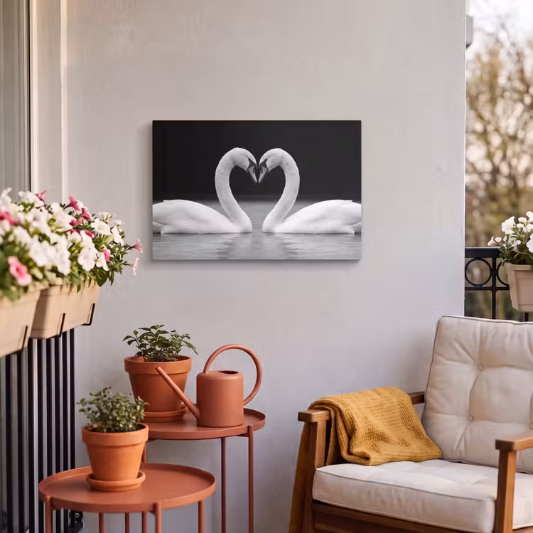 Buiten canvas - Zwanen - Hart - Zwart - Wit — 4