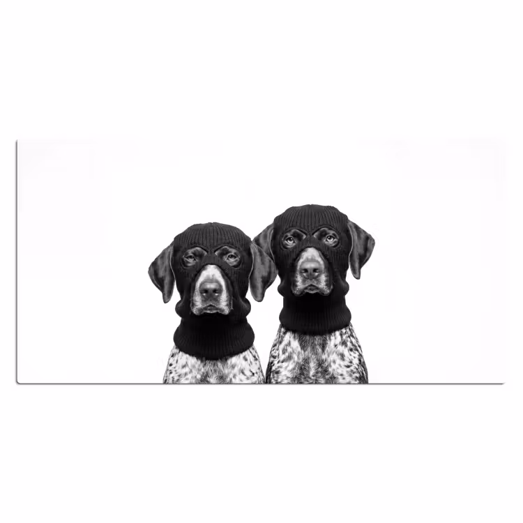 Bureau onderlegger - Honden - Bivakmuts - Zwart - wit — 2