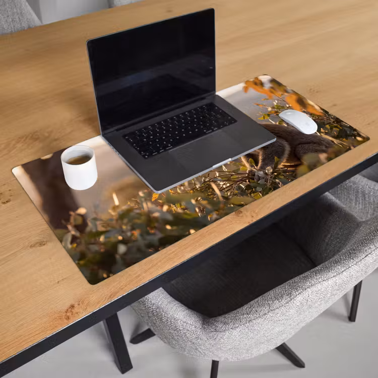 Bureau onderlegger - Koala - Bladeren - Ochtendlicht — 3
