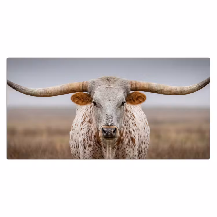 Bureau onderlegger - Longhorn - Grasveld - Dier — 2