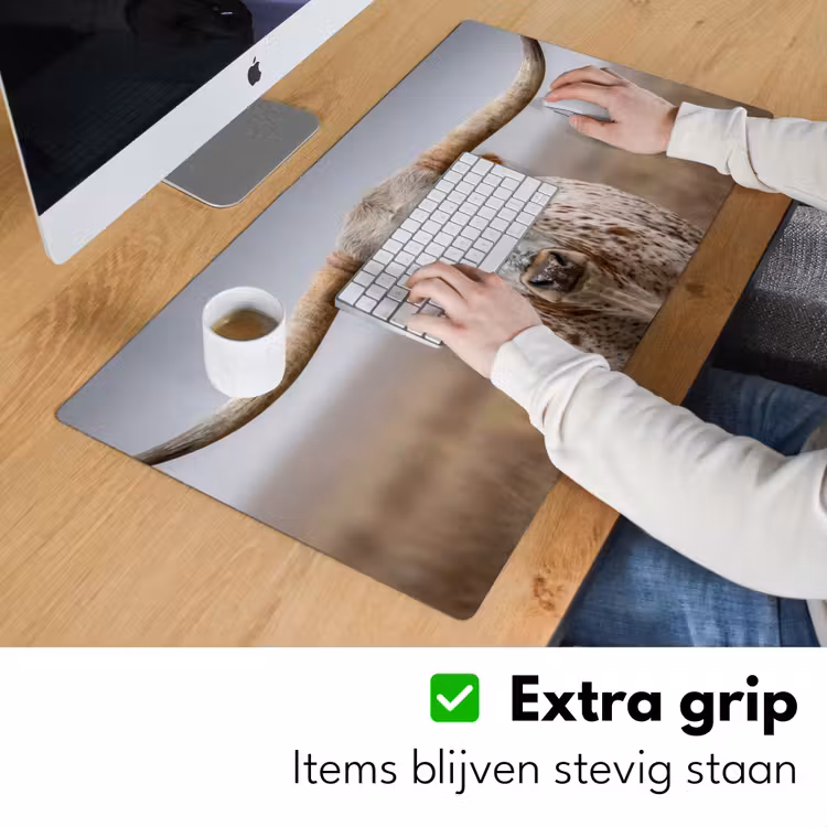 Bureau onderlegger - Longhorn - Grasveld - Dier — 6