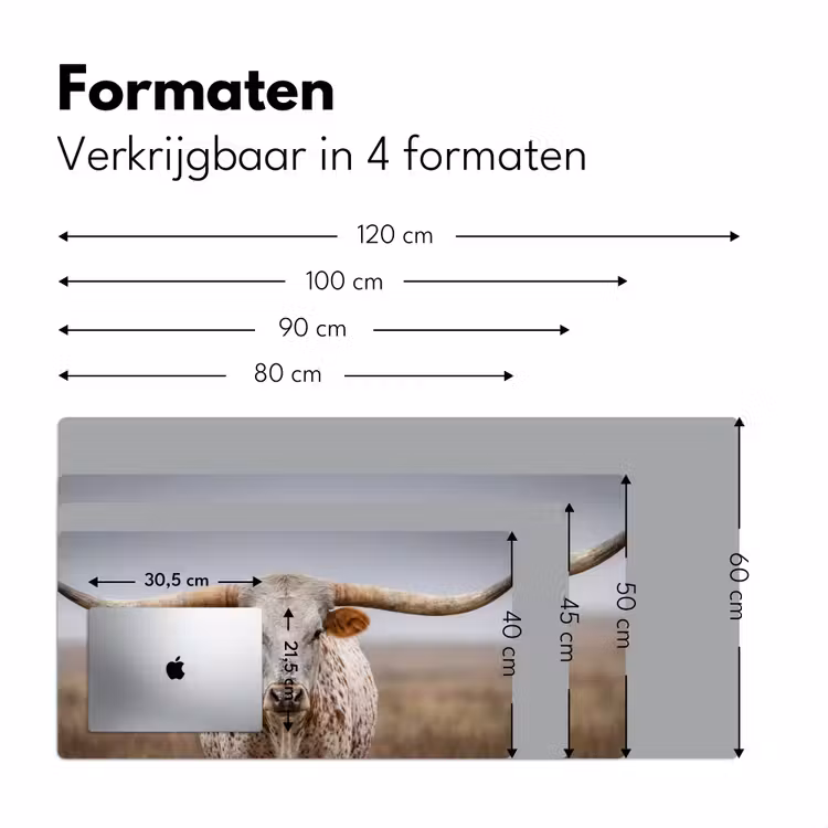 Bureau onderlegger - Longhorn - Grasveld - Dier — 8