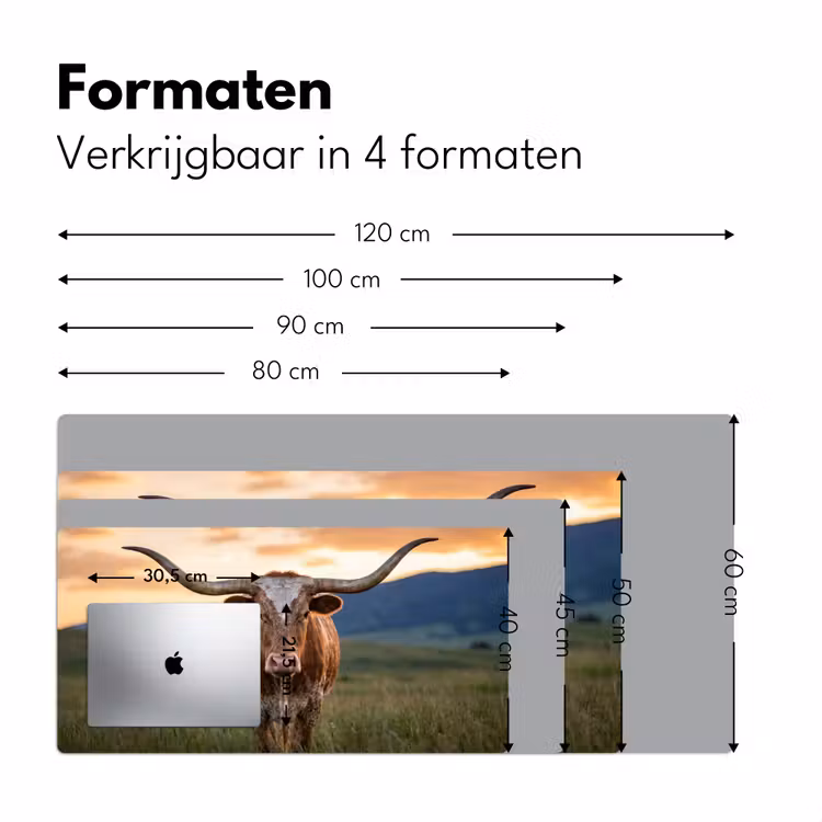 Bureau onderlegger - Longhorn - Landschap - Zonsondergang — 8