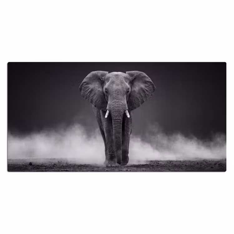 Bureau onderlegger - Olifant - Zwart - Wit - Rook — 2