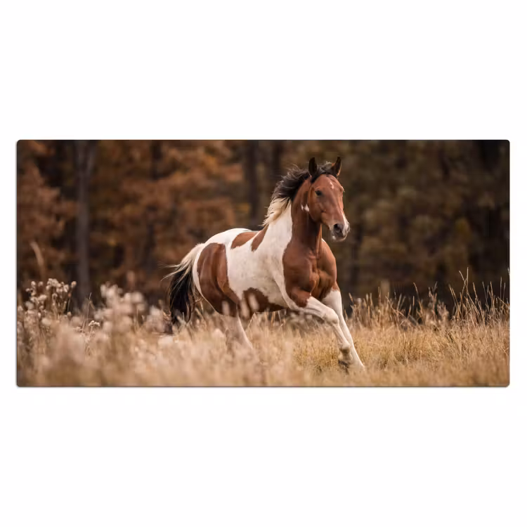 Bureau onderlegger - Paard - Bruin - Gras — 2