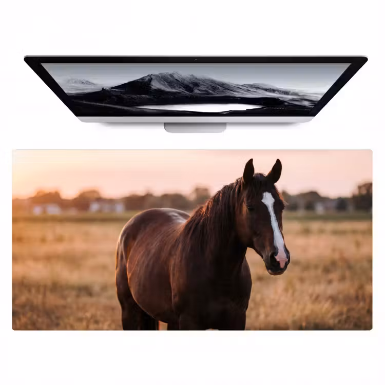 Bureau onderlegger - Paard - Zonsondergang - Bruin — 1