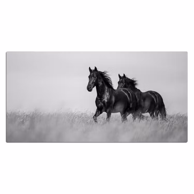 Bureau onderlegger - Paarden - Gras - Zwart - Wit — 2