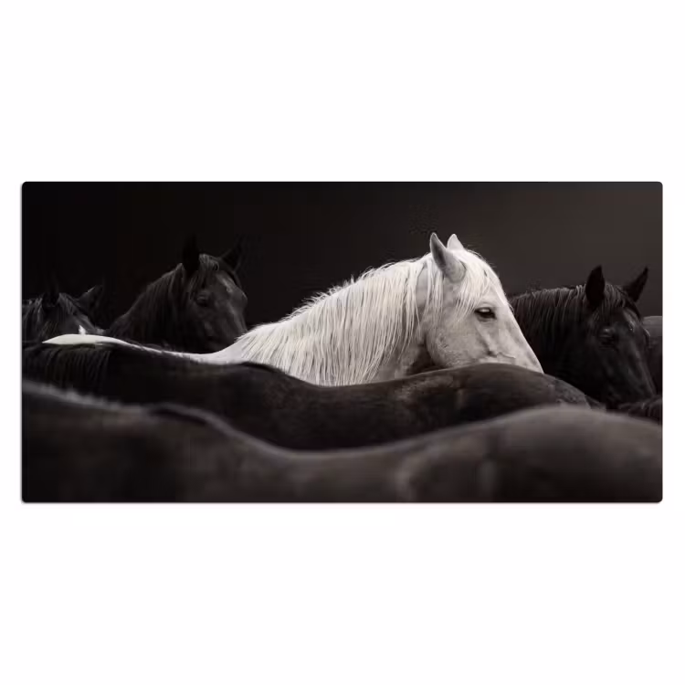 Bureau onderlegger - Paarden - Zwart - Wit - Kudde — 2