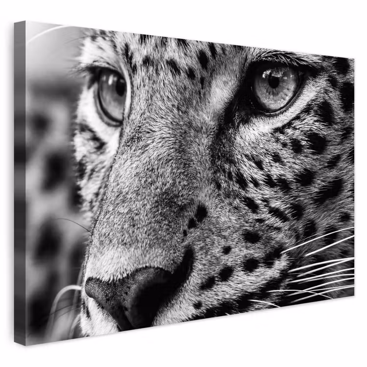 Buiten canvas - Luipaard - Zwart - Wit - Oog — 1