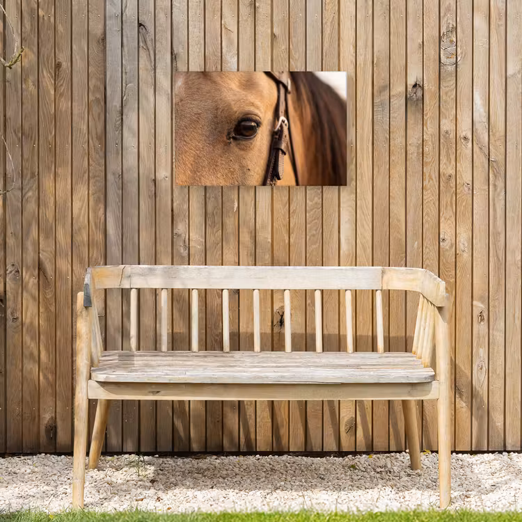 Buiten canvas - Paard - Oog - Bruin — 3