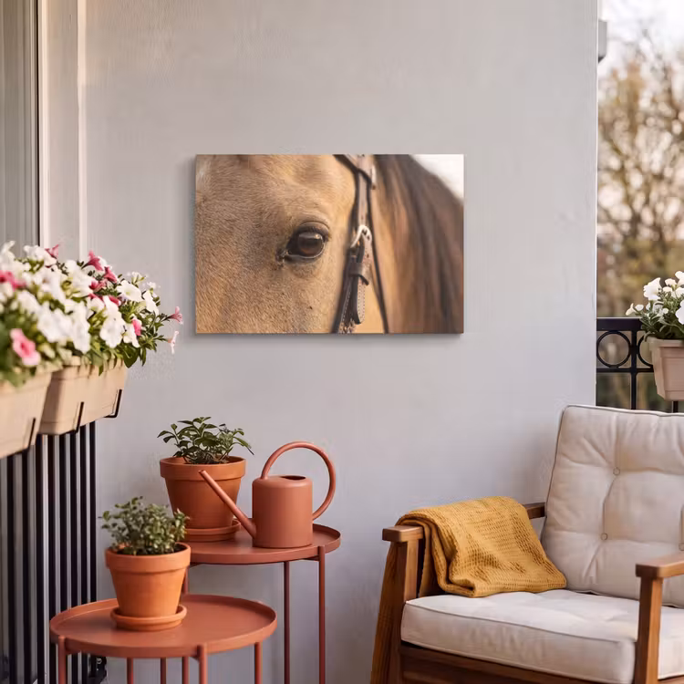 Buiten canvas - Paard - Oog - Bruin — 4