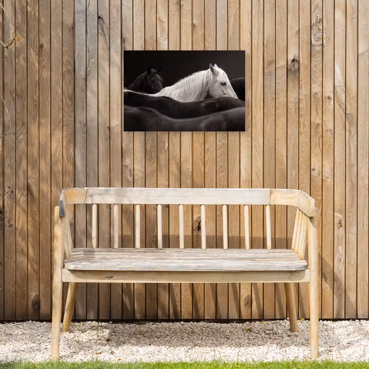 Buiten canvas - Paarden - Zwart - Wit - Kudde — 3
