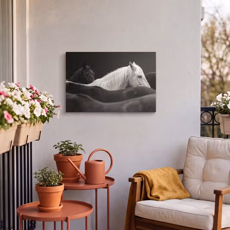 Buiten canvas - Paarden - Zwart - Wit - Kudde — 4