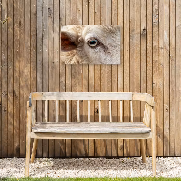 Buiten canvas - Schaap - Oog - Wit — 3