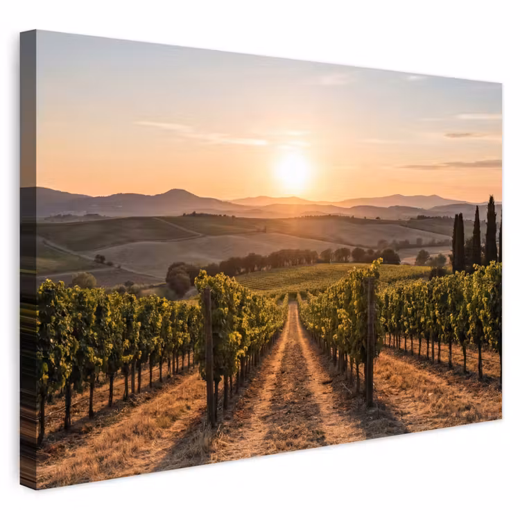 Buiten canvas - Wijngaard - Zonsondergang - Landschap — 1