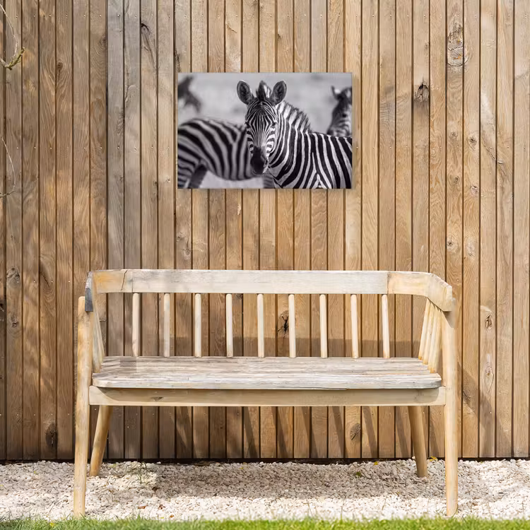 Buiten canvas - Zebra's - Zwart - Wit — 3