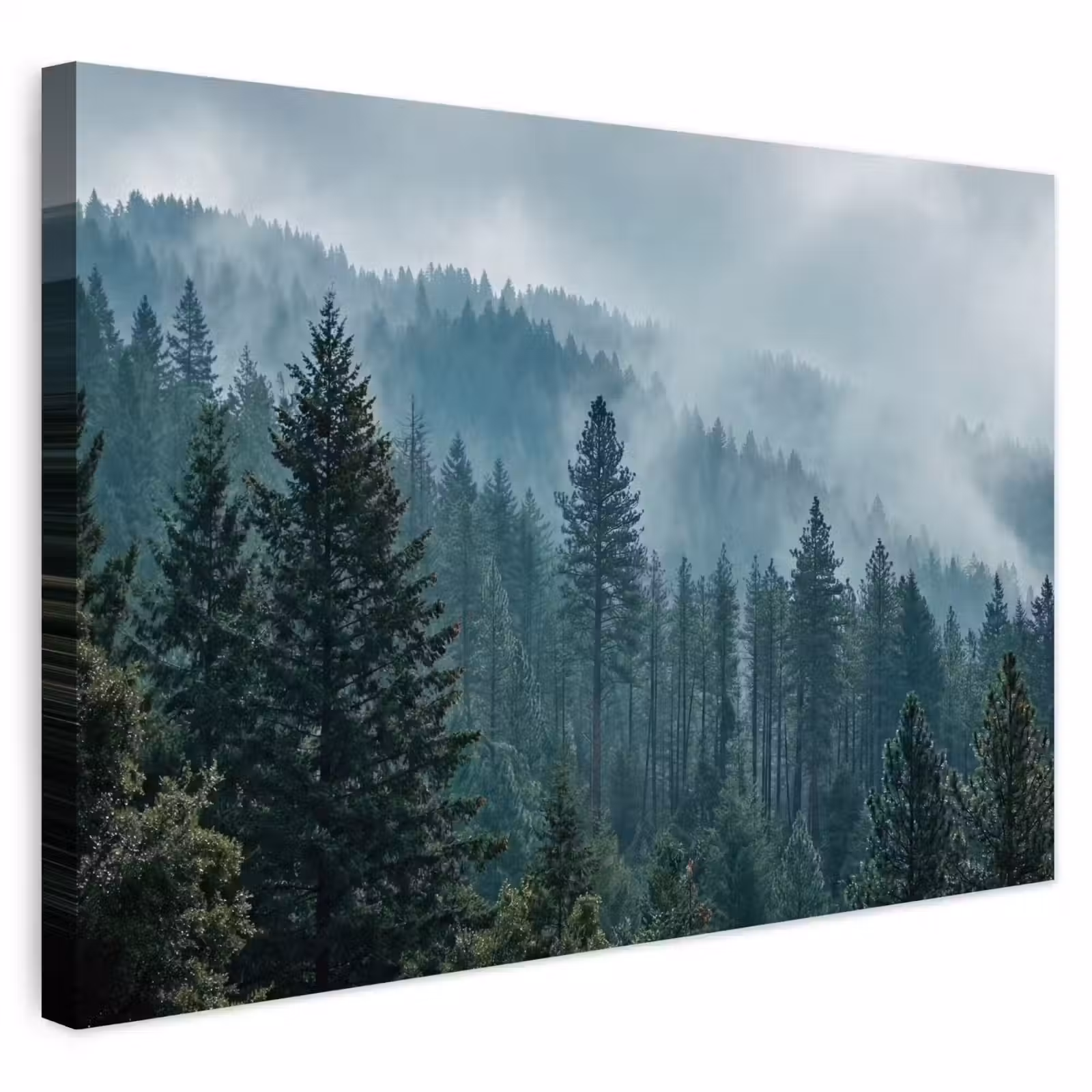 Buiten canvas - Naaldwoud - Bergen - Mist — 1