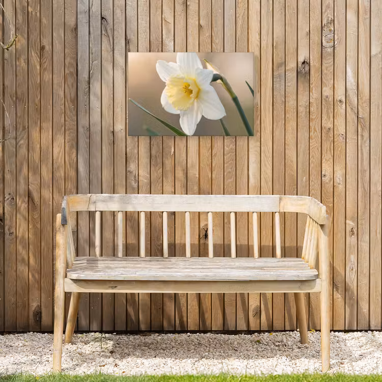 Buiten canvas - Narcis - Bloem - Minimalistisch — 3