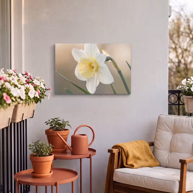 Buiten canvas - Narcis - Bloem - Minimalistisch — 4