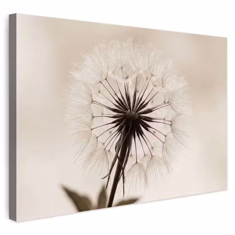 Buiten canvas - Paardenbloem - Minimalistisch - Wit — 1