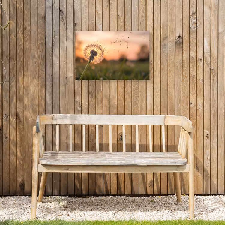Buiten canvas - Paardenbloem - Zonsondergang - Veld — 3
