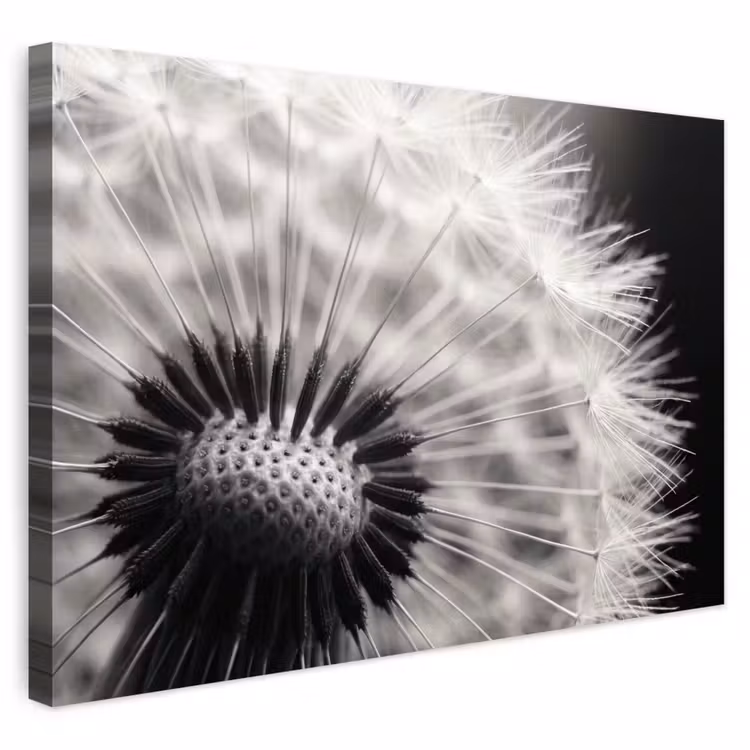 Buiten canvas - Paardenbloem - Zwart - Wit — 1