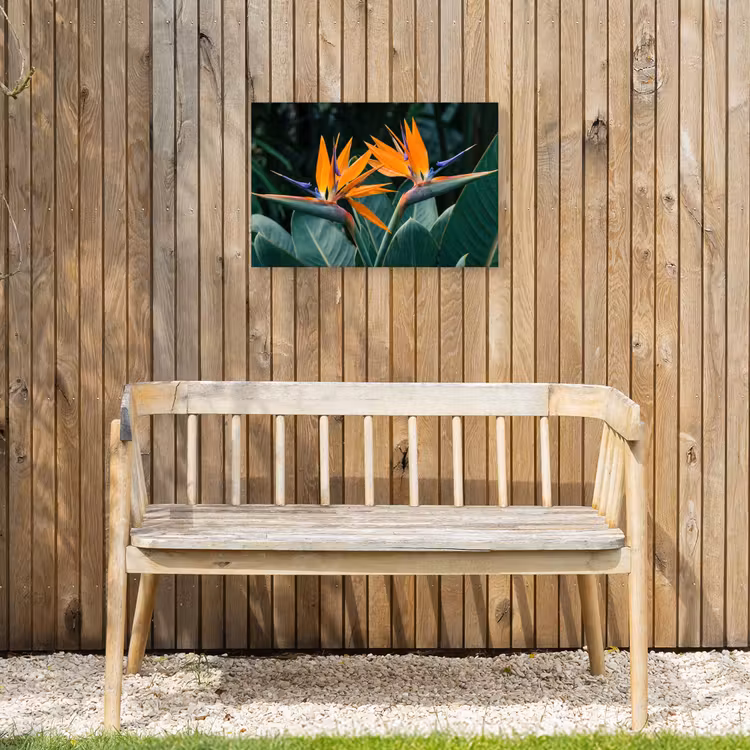 Buiten canvas - Paradijsvogel - Bloem - Exotisch — 3