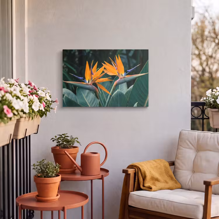 Buiten canvas - Paradijsvogel - Bloem - Exotisch — 4
