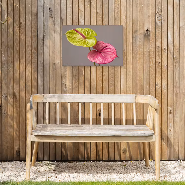Buiten canvas - Planten - Anthurium - Groen - Roze — 3