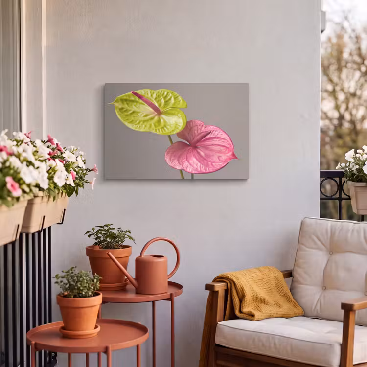 Buiten canvas - Planten - Anthurium - Groen - Roze — 4