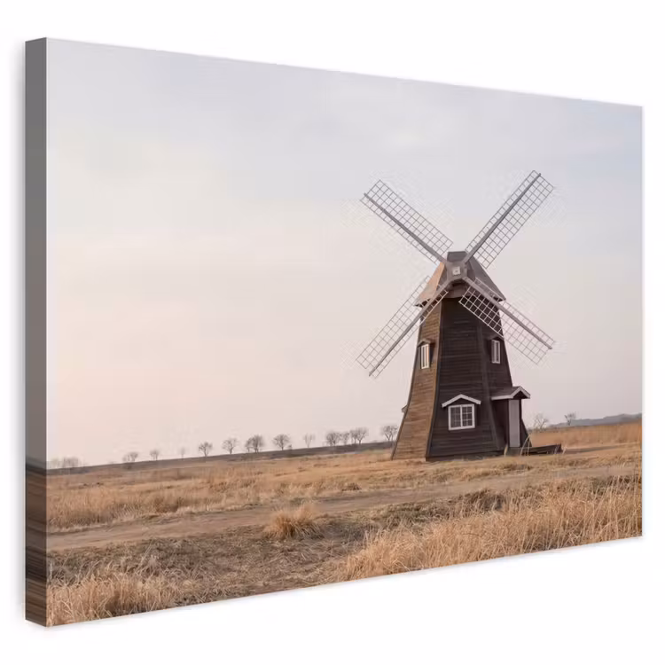 Buiten canvas - Windmolens - Landschap - Veld — 1