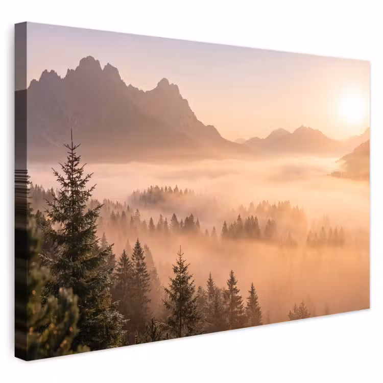 Buiten canvas - Zonlicht - Mist - Bergen - Bomen — 1