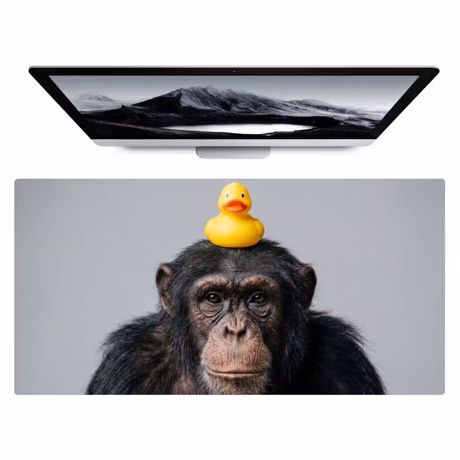 Bureau onderlegger - Chimpansee - Badeend - Grijs — 1
