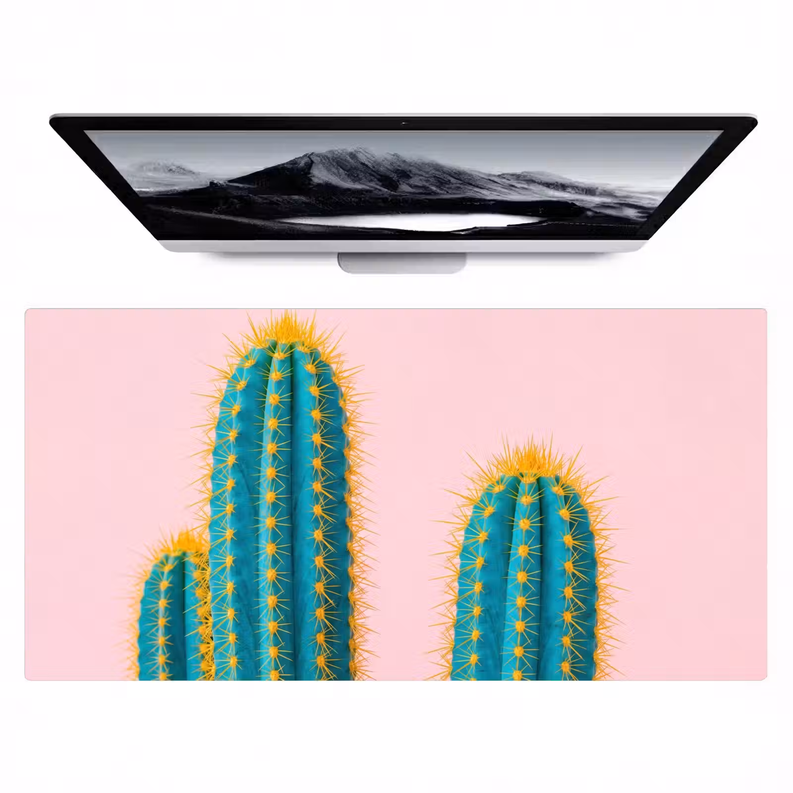 Bureau onderlegger - Cactussen - Modern - Pastel — 1
