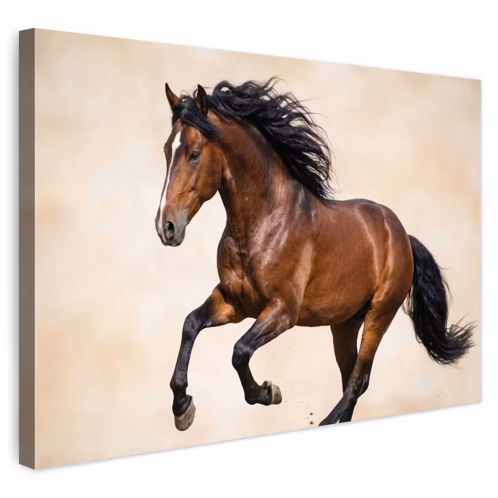 Buiten canvas - Paard - Galop - Energie — 1
