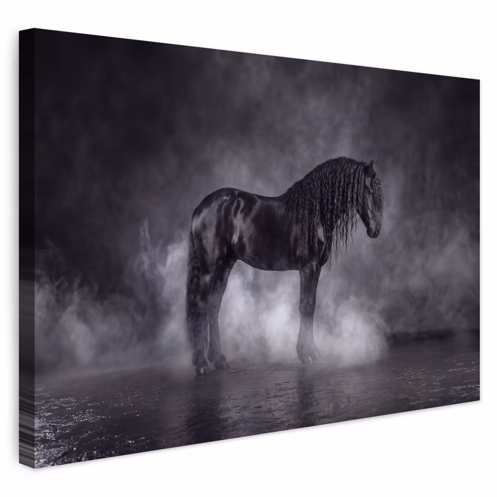 Buiten canvas - Paard - Magisch - Zwart — 1