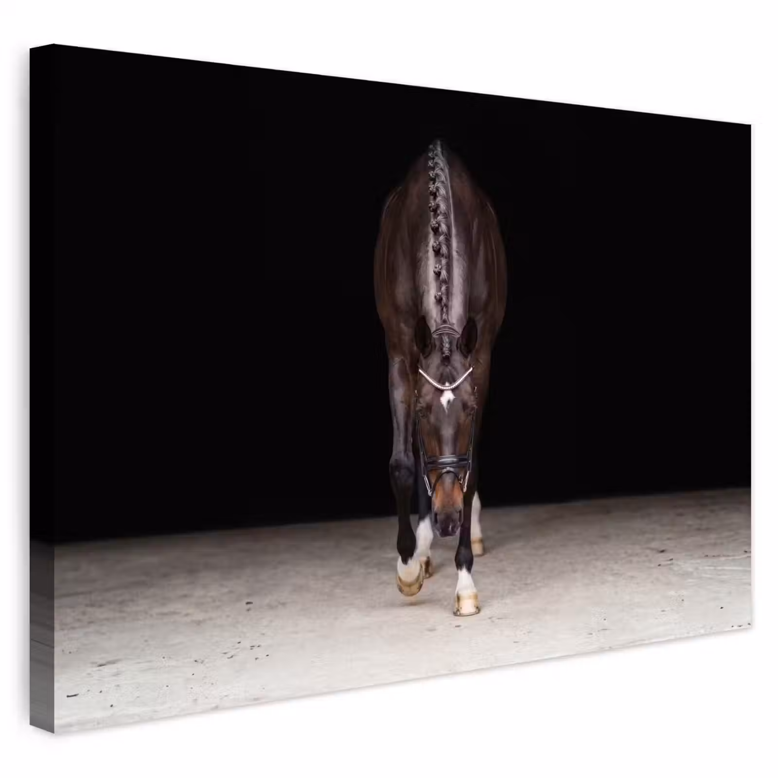 Buiten canvas - Paard - Modern - Portret — 1