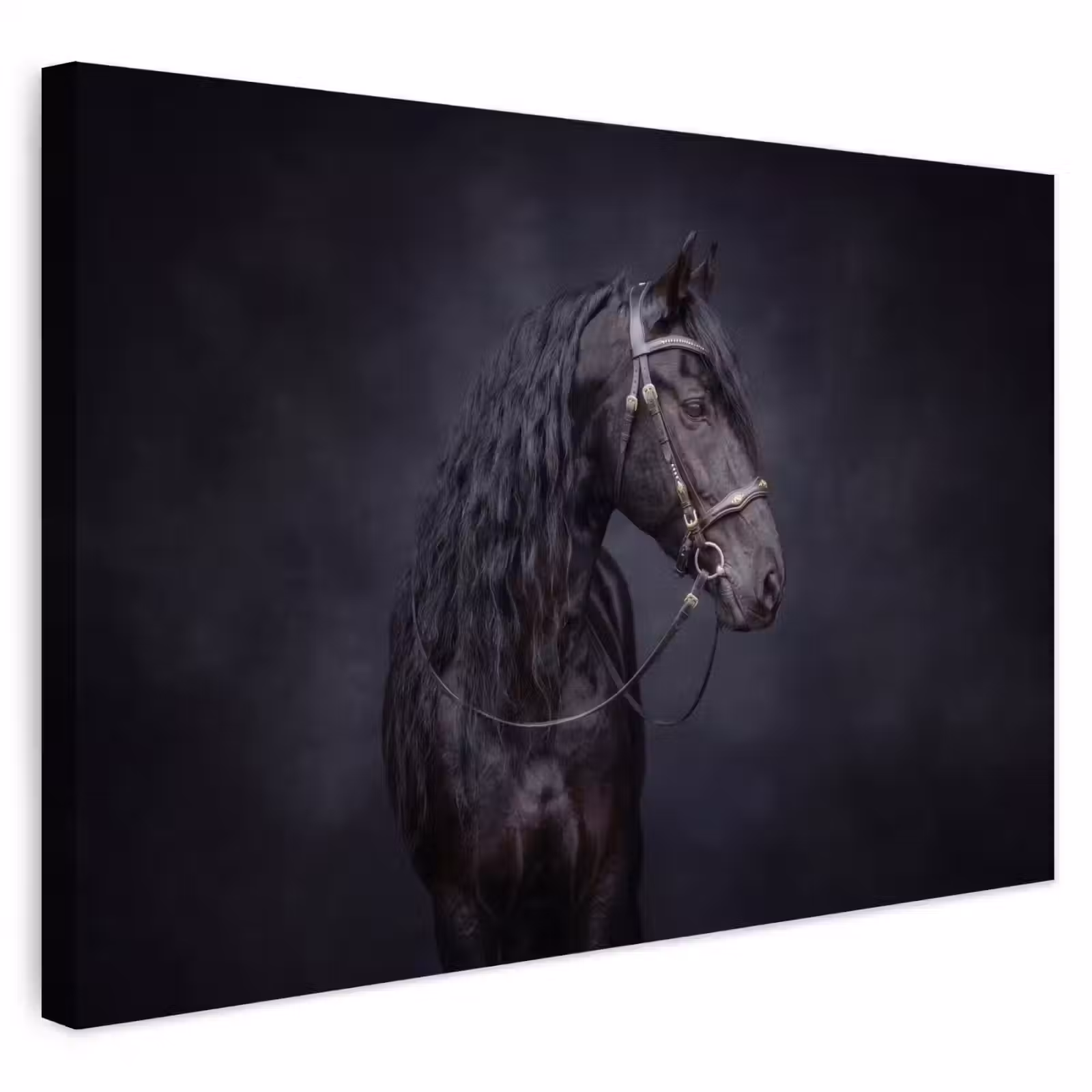 Buiten canvas - Portret - Paard - Donker — 1