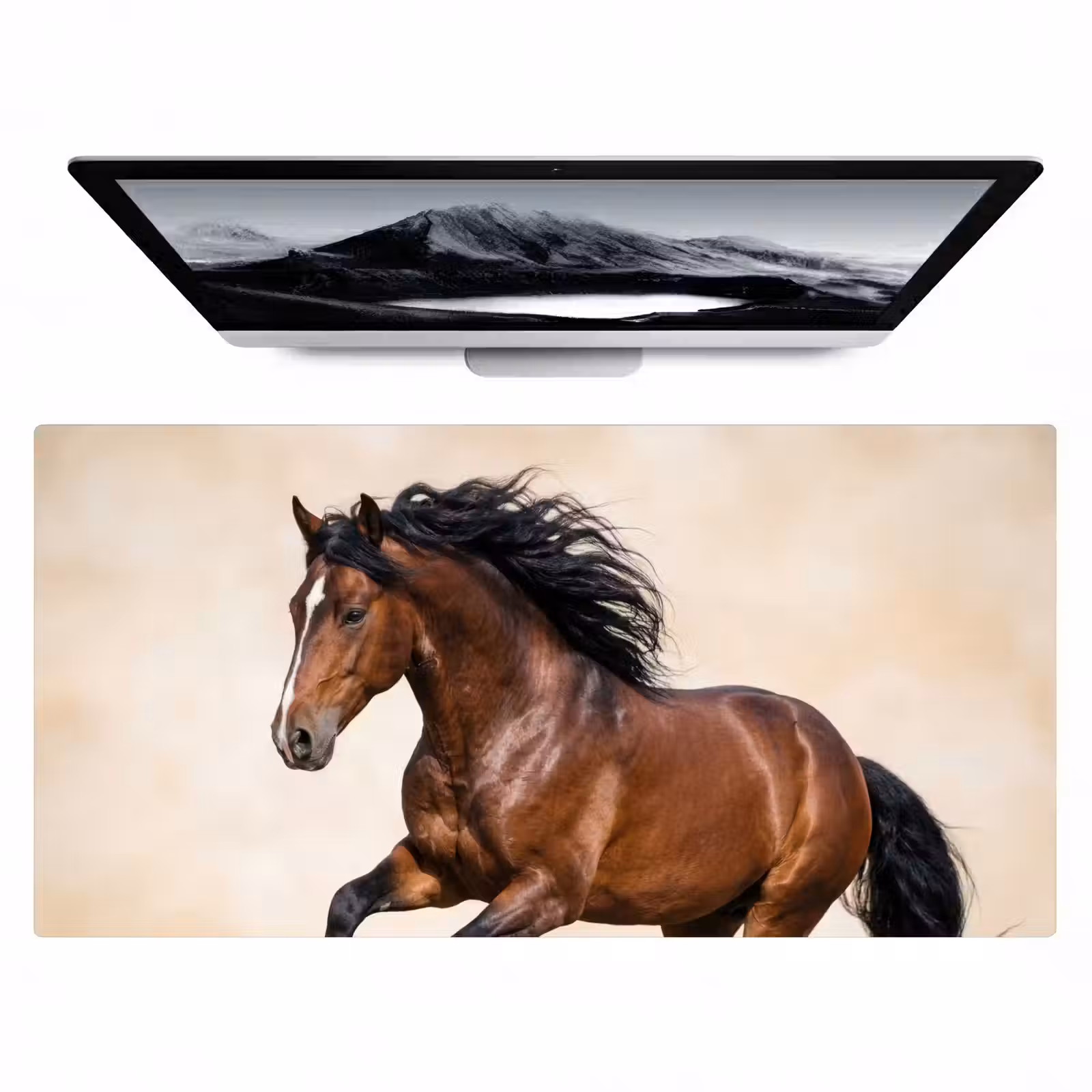 Bureau onderlegger - Paard - Galop - Energie — 1