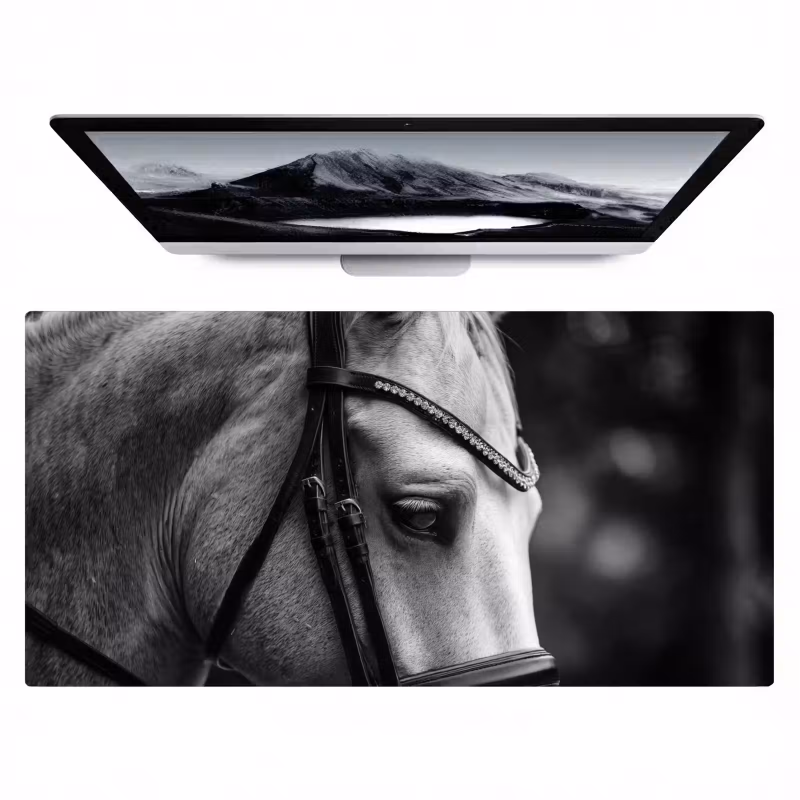 Bureau onderlegger - Paard - Schimmel - Portret — 1