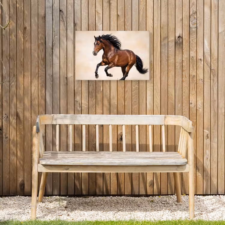 Buiten canvas - Paard - Galop - Energie — 3