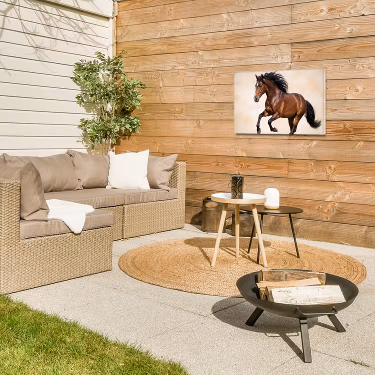 Buiten canvas - Paard - Galop - Energie — 5