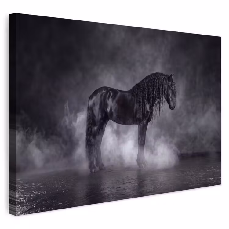 Buiten canvas - Paard - Magisch - Zwart — 1