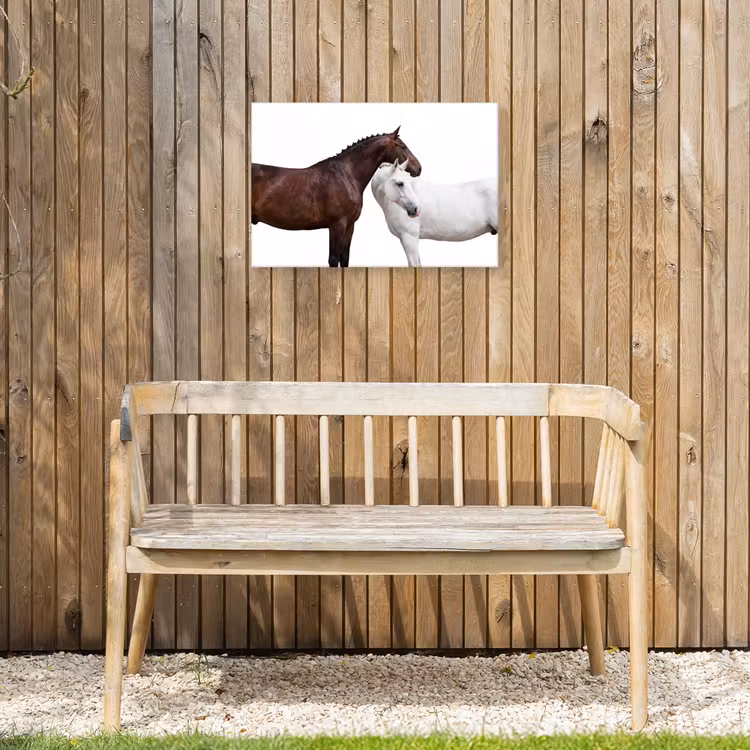 Buiten canvas - Paard - Modern - Balans — 3