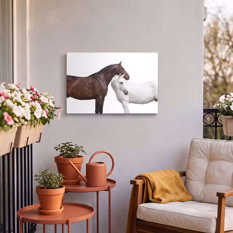Buiten canvas - Paard - Modern - Balans — 4