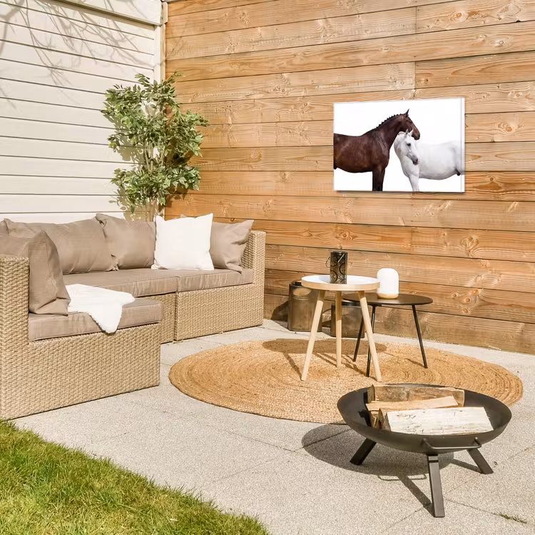 Buiten canvas - Paard - Modern - Balans — 5