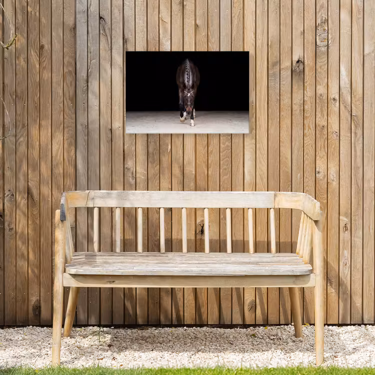 Buiten canvas - Paard - Modern - Portret — 3